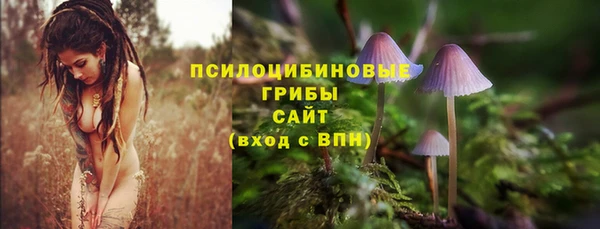 ГАЛЛЮЦИНОГЕННЫЕ ГРИБЫ Ельня