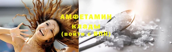 ГАЛЛЮЦИНОГЕННЫЕ ГРИБЫ Ельня