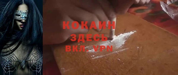 ГАЛЛЮЦИНОГЕННЫЕ ГРИБЫ Ельня