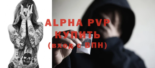 ГАЛЛЮЦИНОГЕННЫЕ ГРИБЫ Ельня