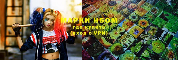 ГАЛЛЮЦИНОГЕННЫЕ ГРИБЫ Ельня
