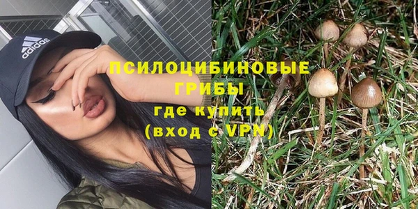 скорость mdpv Елизово