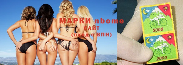 ГАЛЛЮЦИНОГЕННЫЕ ГРИБЫ Ельня