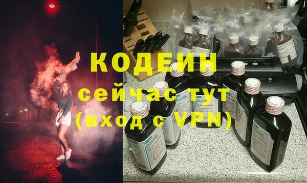 ГАЛЛЮЦИНОГЕННЫЕ ГРИБЫ Ельня