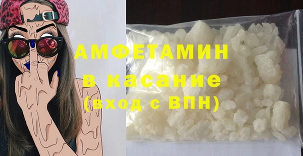 ГАЛЛЮЦИНОГЕННЫЕ ГРИБЫ Ельня
